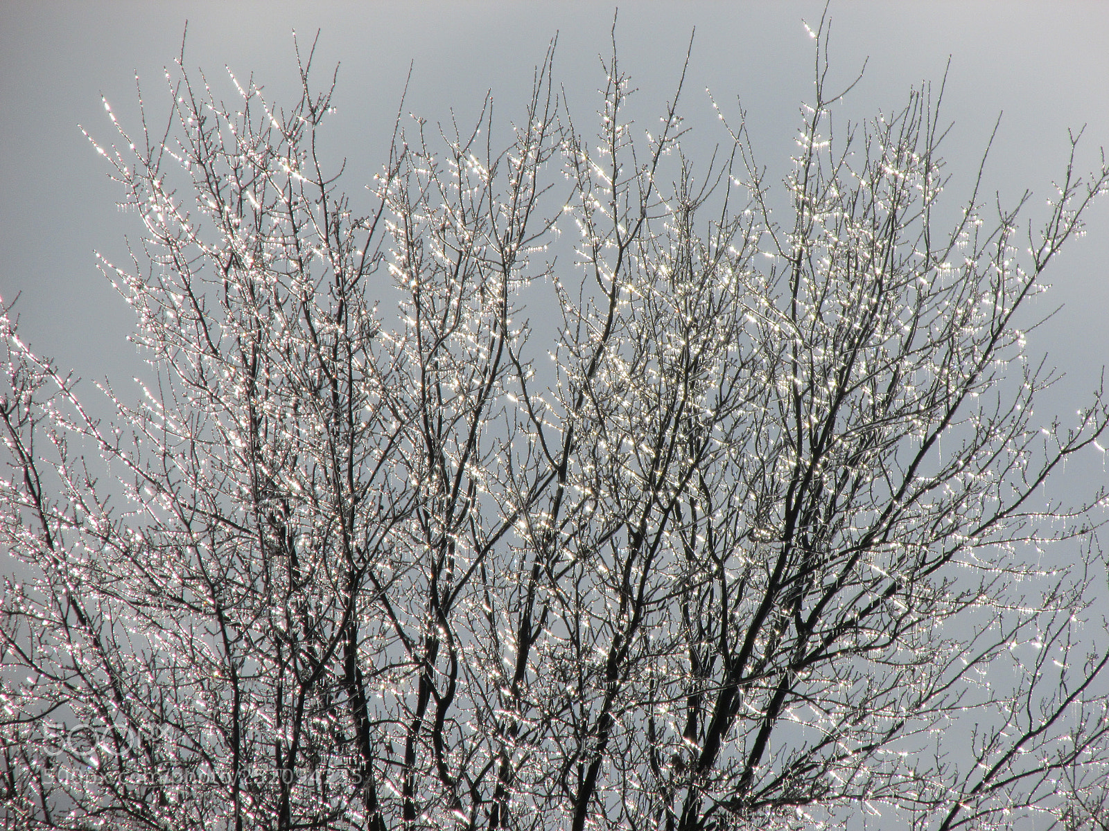 Canon PowerShot SX170 IS sample photo. Untitled photography