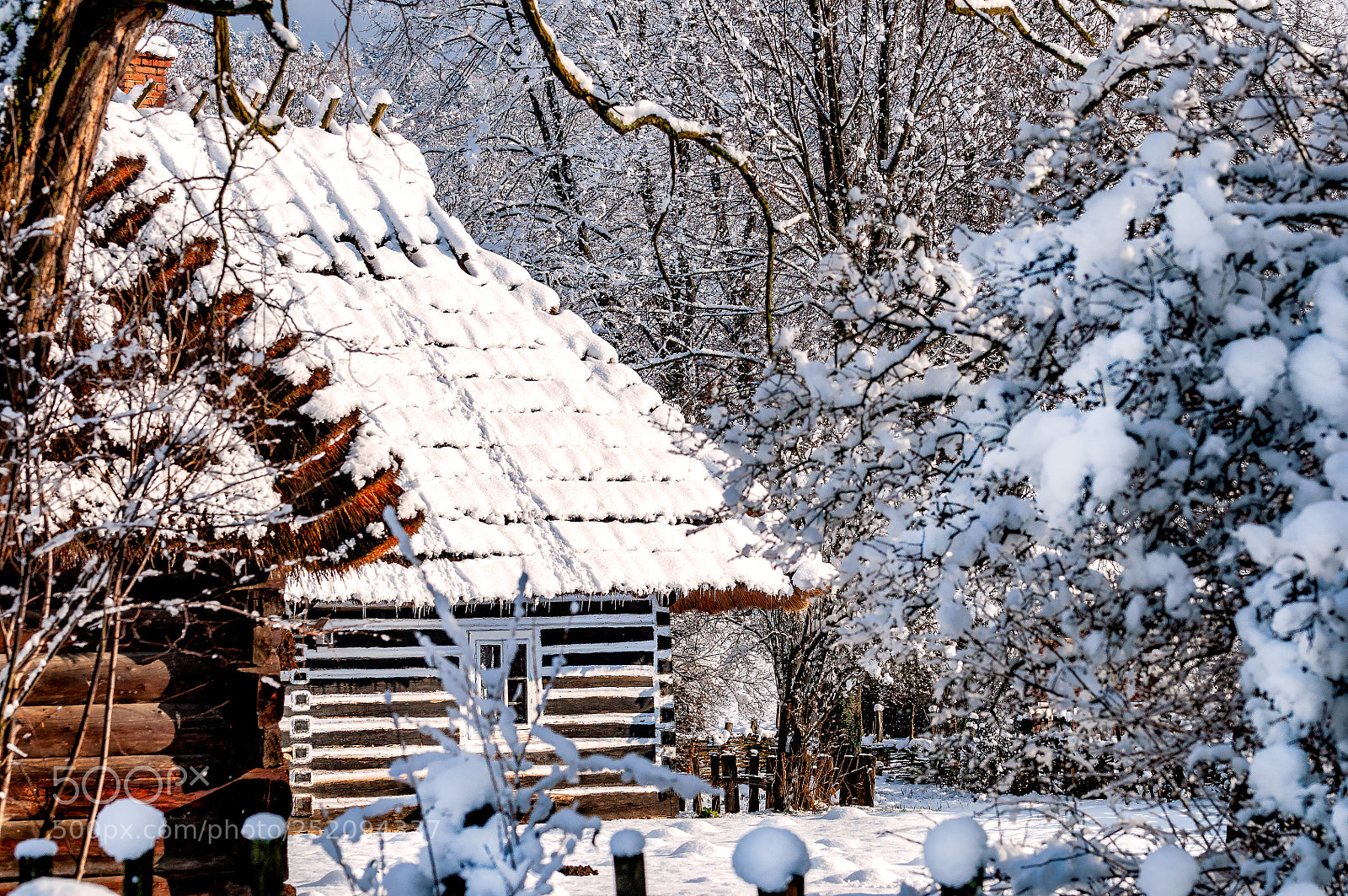 Nikon D300 sample photo. Old hut in winter photography
