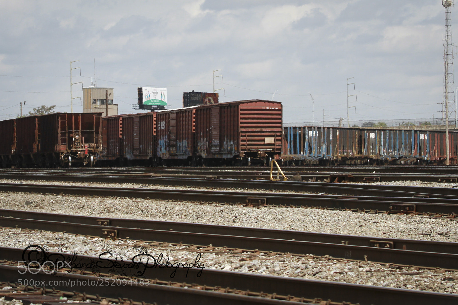Canon EOS 7D sample photo. Img photography