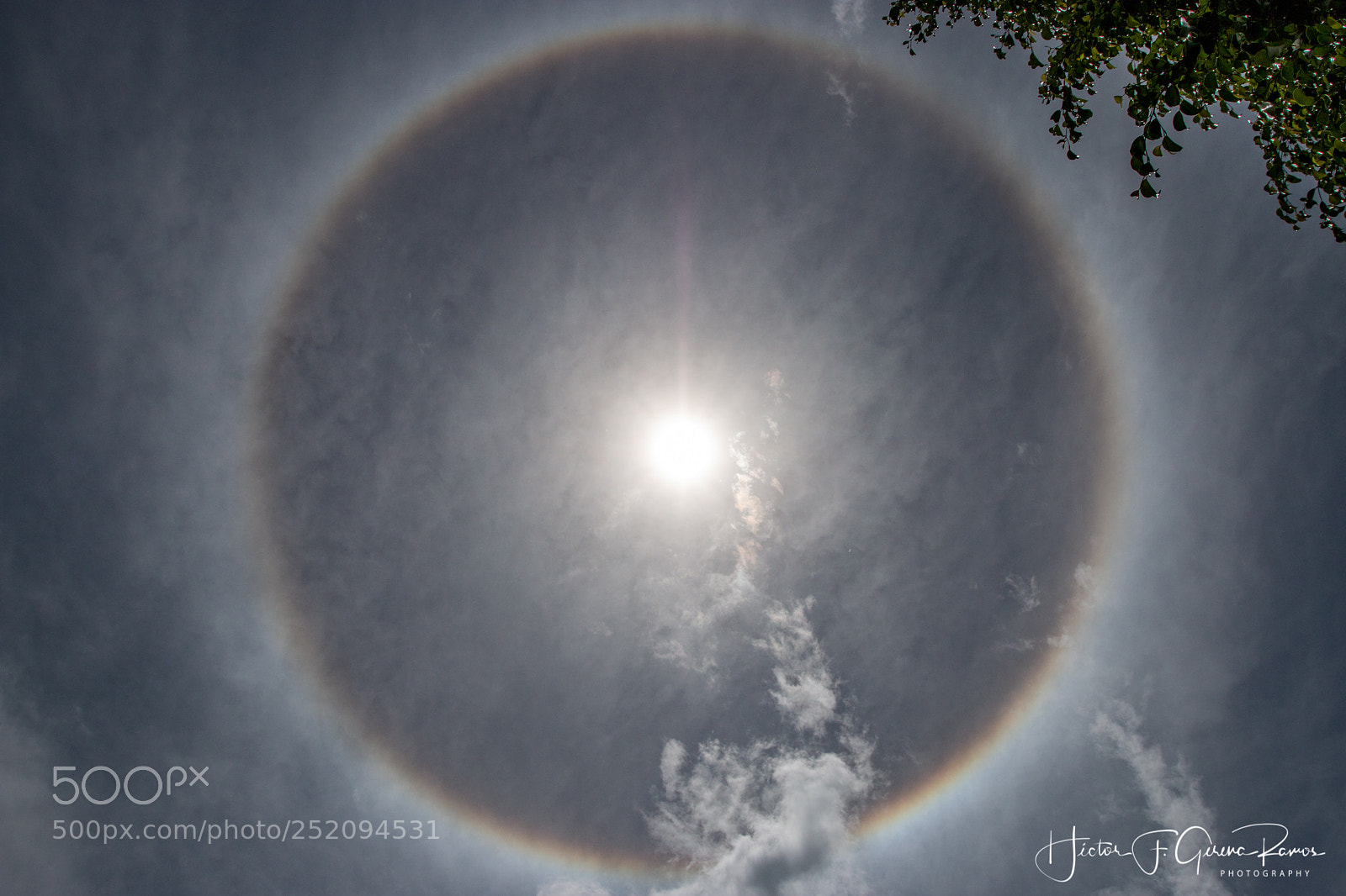 Canon EOS 70D sample photo. Sun halo-1 photography