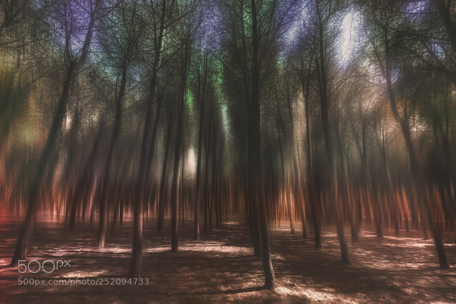 Nikon D7200 sample photo. Lighting forest photography