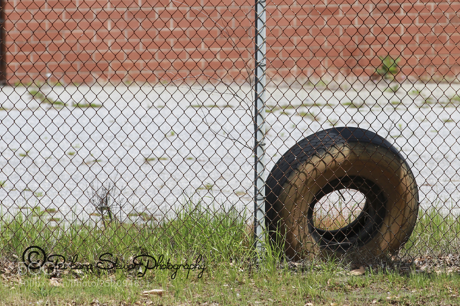 Canon EOS 7D sample photo. Img photography