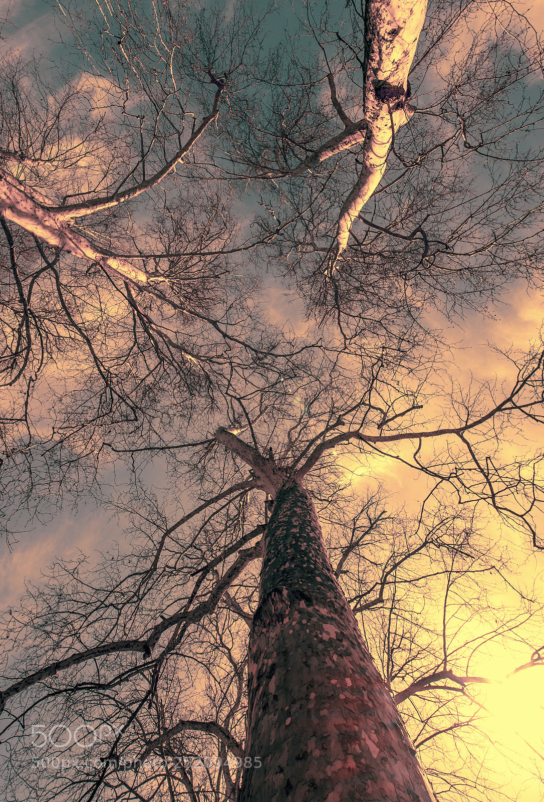 Nikon D610 sample photo. View of sky photography