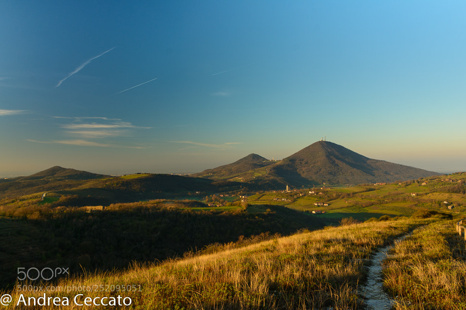 Nikon D7100 sample photo. Colli euganei photography