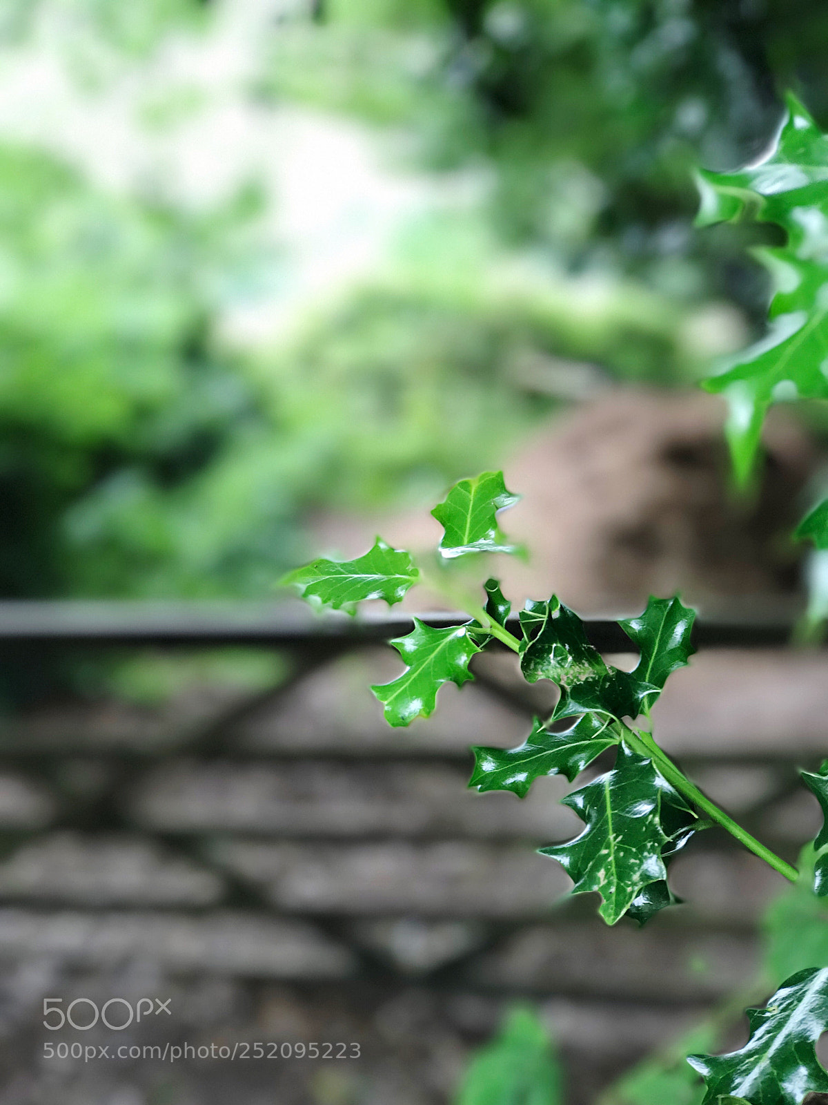 Apple iPhone 7 Plus sample photo. Untitled photography
