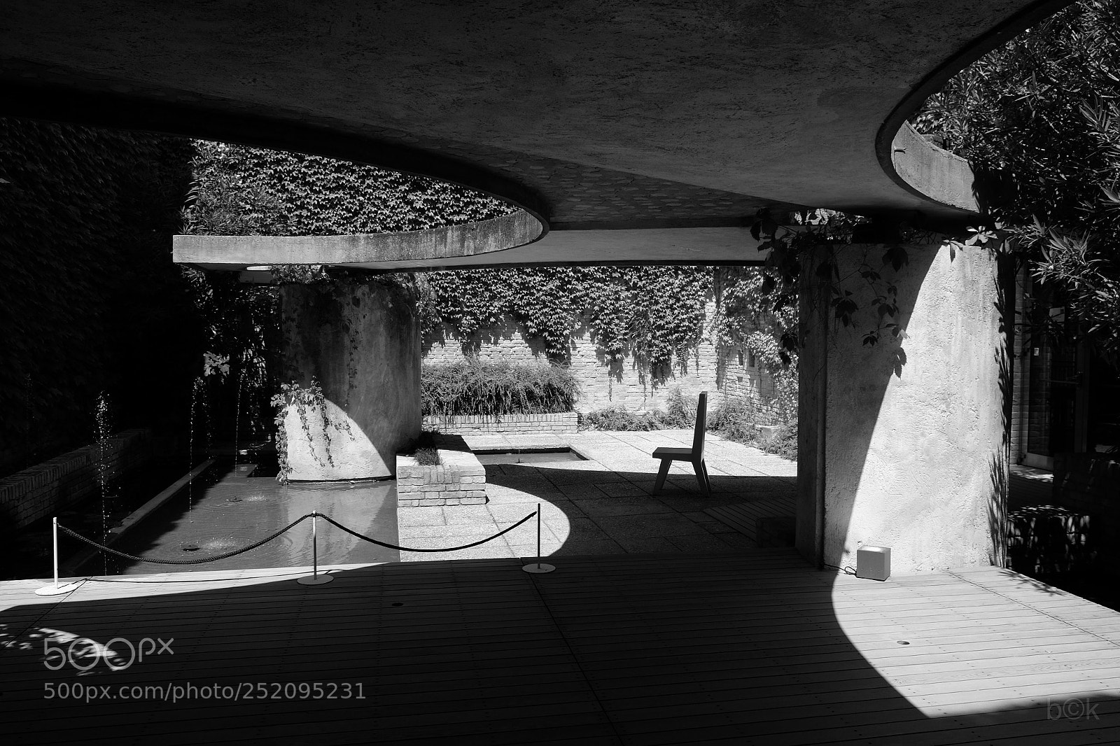 Fujifilm X-T1 sample photo. Canopy ii photography