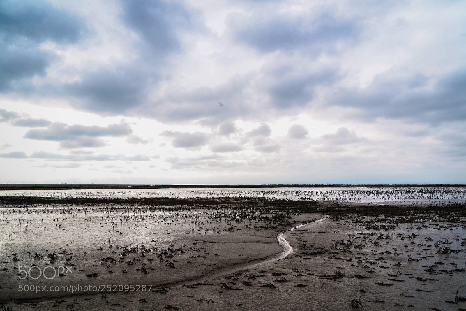 Sony a7 III sample photo. Wetlands 2 photography