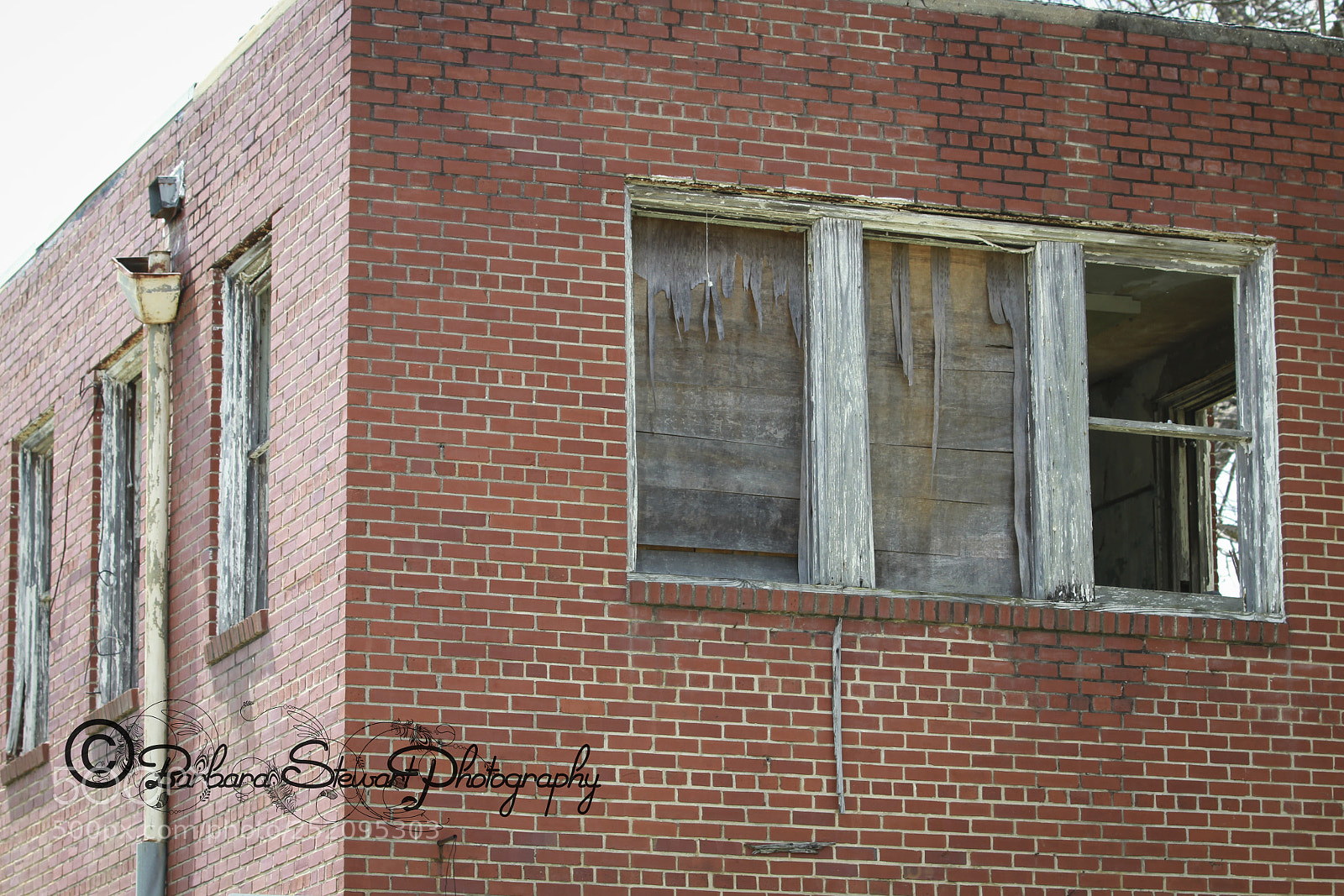 Canon EOS 7D sample photo. Img photography