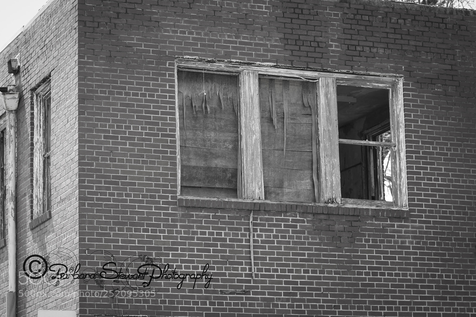 Canon EOS 7D sample photo. Img photography