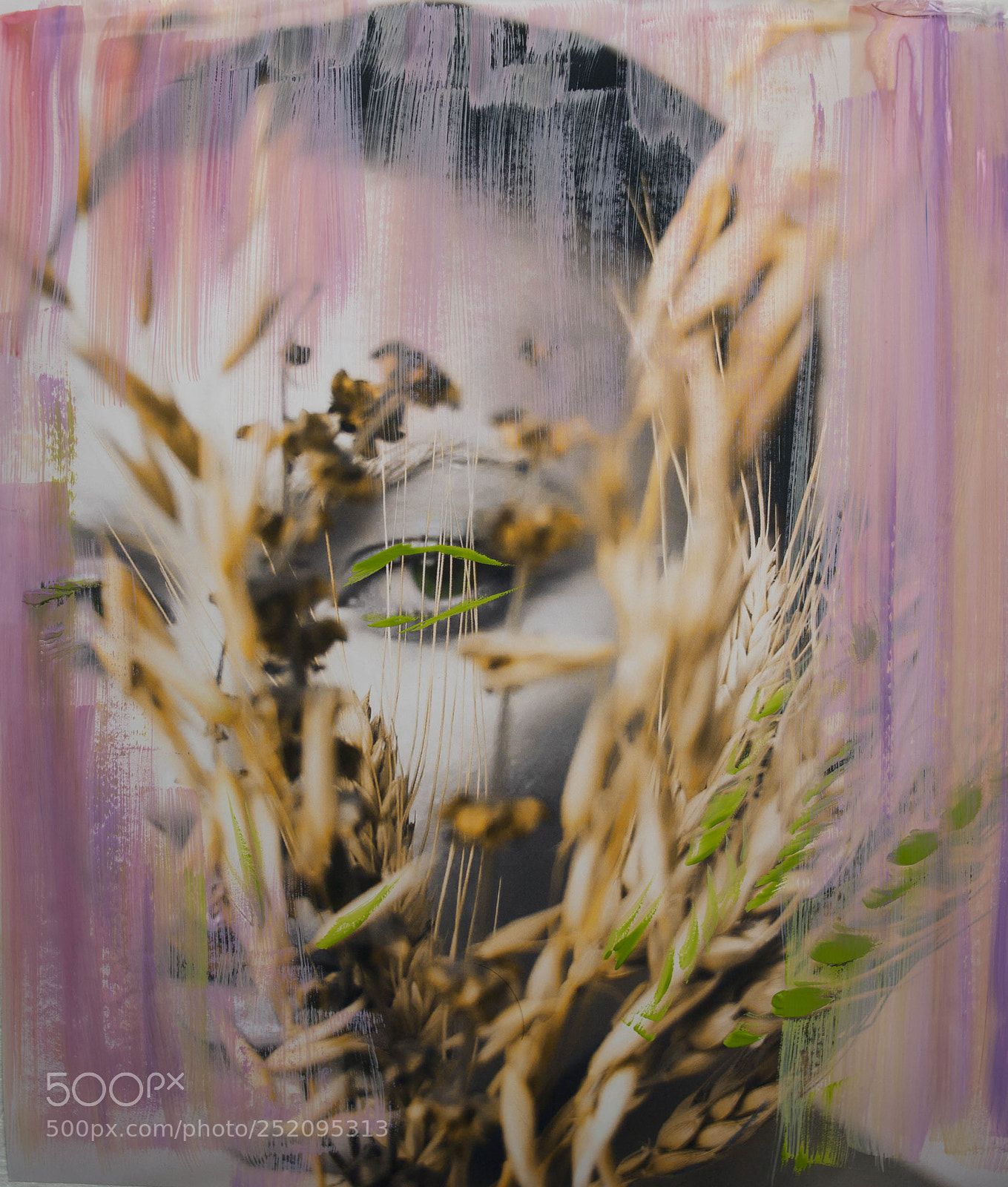 Canon EOS 5D sample photo. Wheat photography