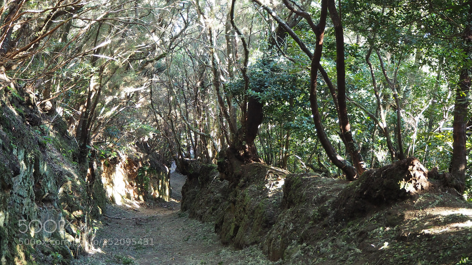 Olympus OM-D E-M10 II sample photo. Anaga gebirge photography