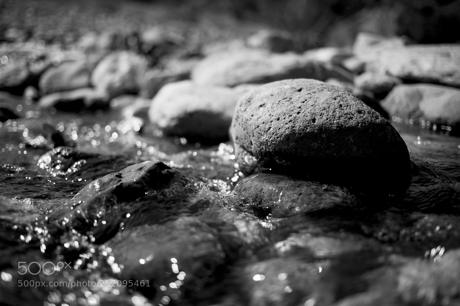 Canon EOS 5D Mark II sample photo. Porous photography