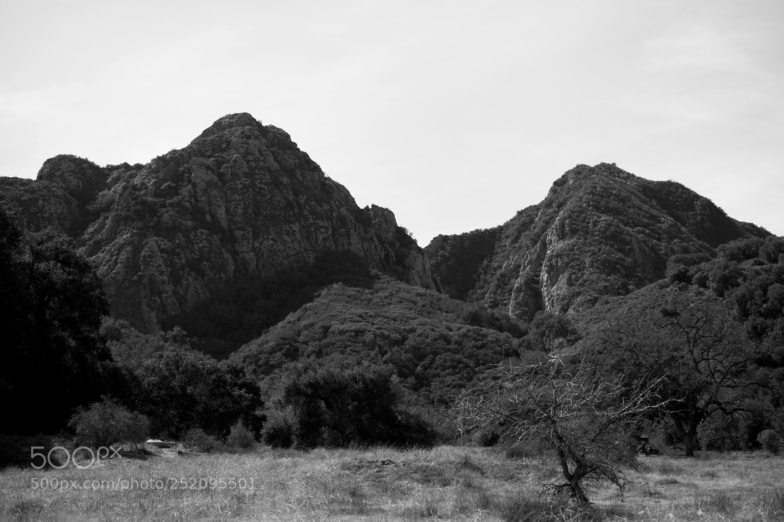 Canon EOS 5D Mark II sample photo. Saddle photography