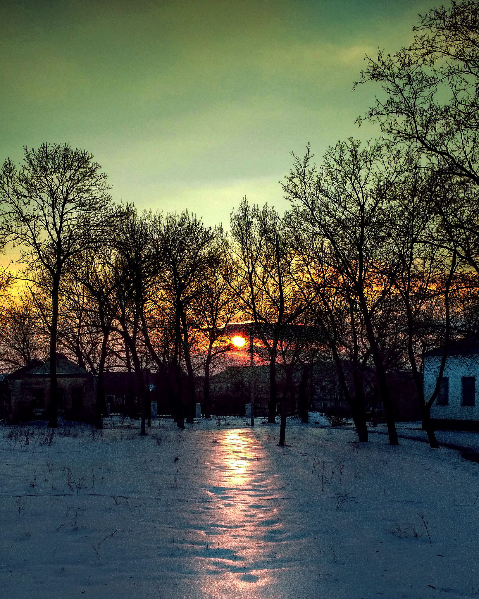Xiaomi Redmi 3X sample photo. Вечернее солнце на снегу photography