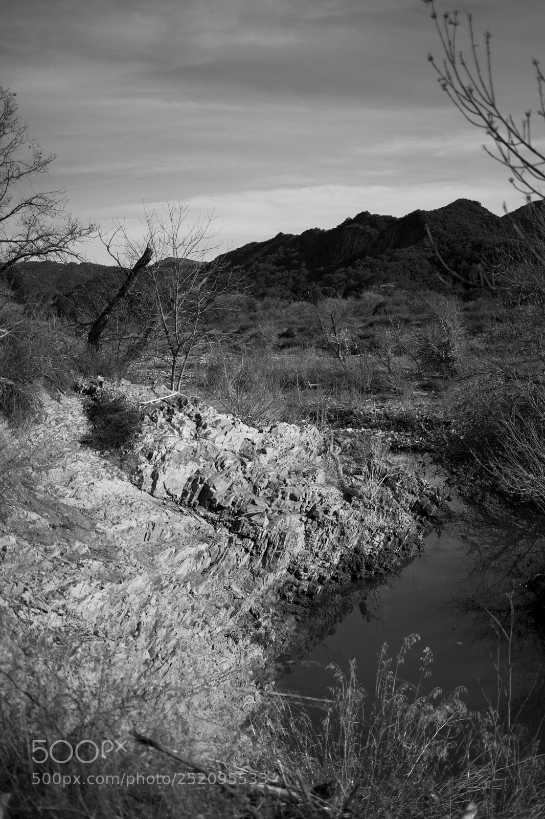 Canon EOS 5D Mark II sample photo. Plates photography