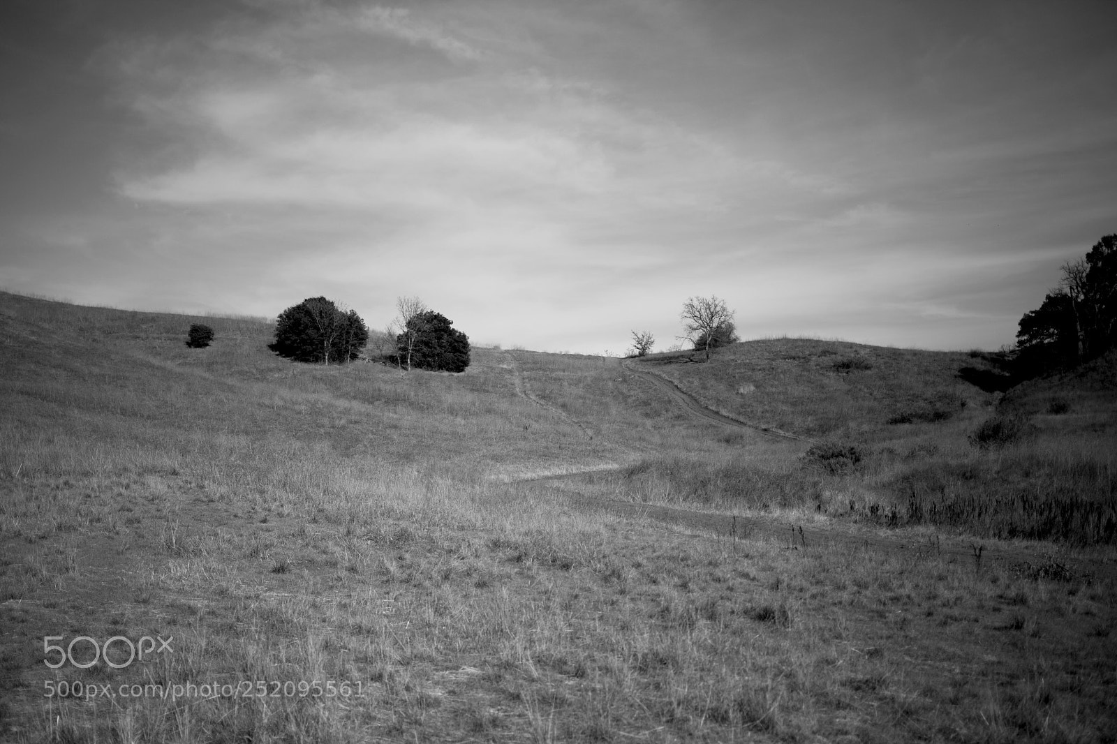 Canon EOS 5D Mark II sample photo. Dry photography