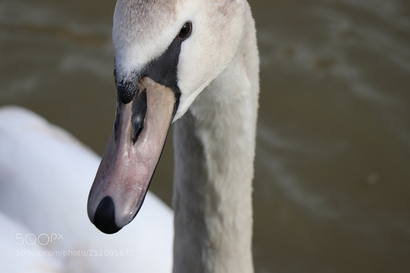 Canon EOS 80D sample photo. Untitled photography