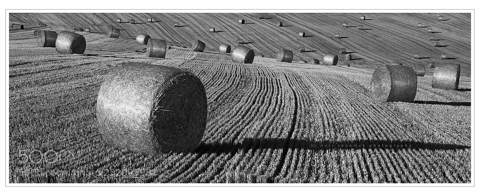 Pentax K20D sample photo. Harvest photography