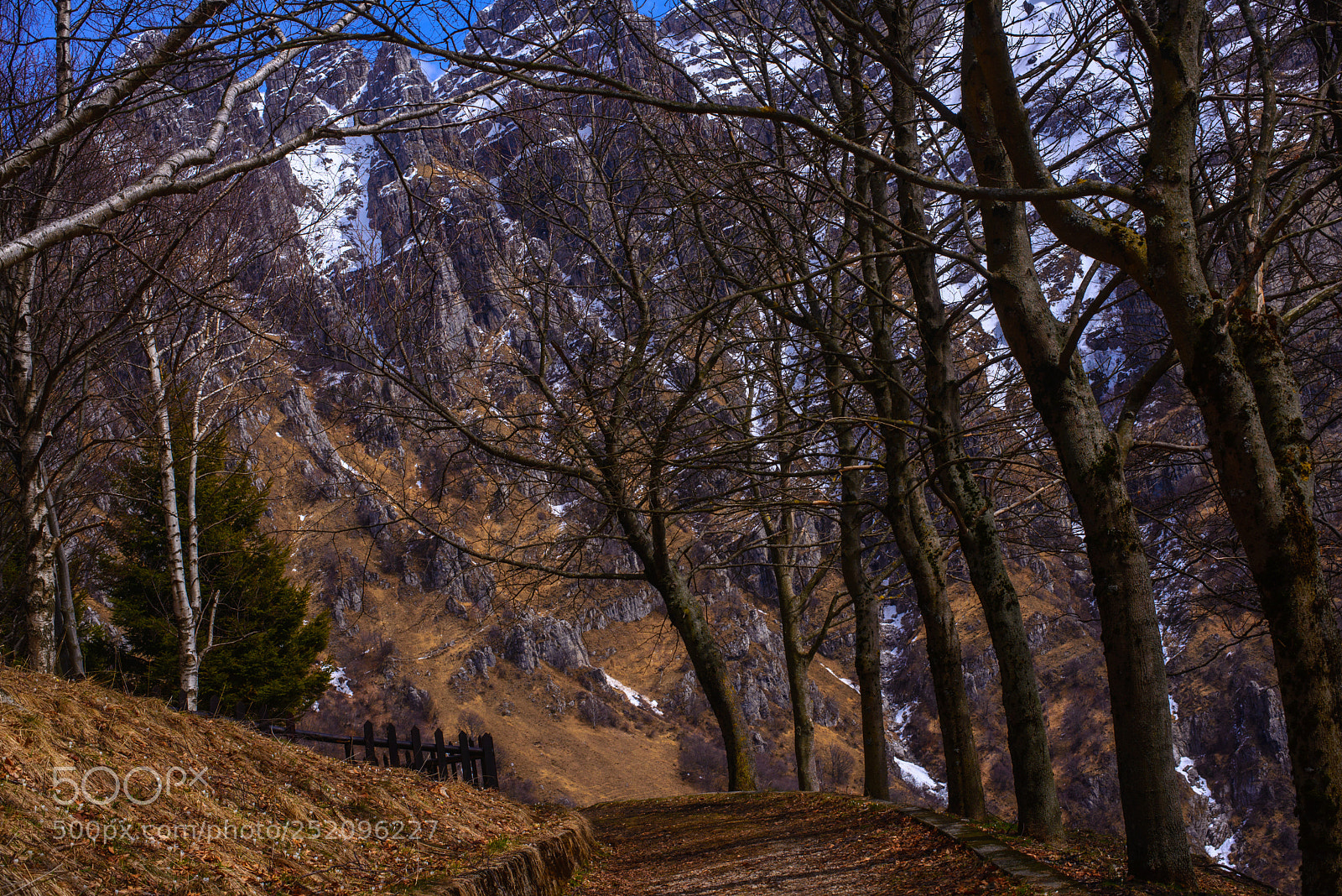 Nikon D600 sample photo. Lecco in the spring photography