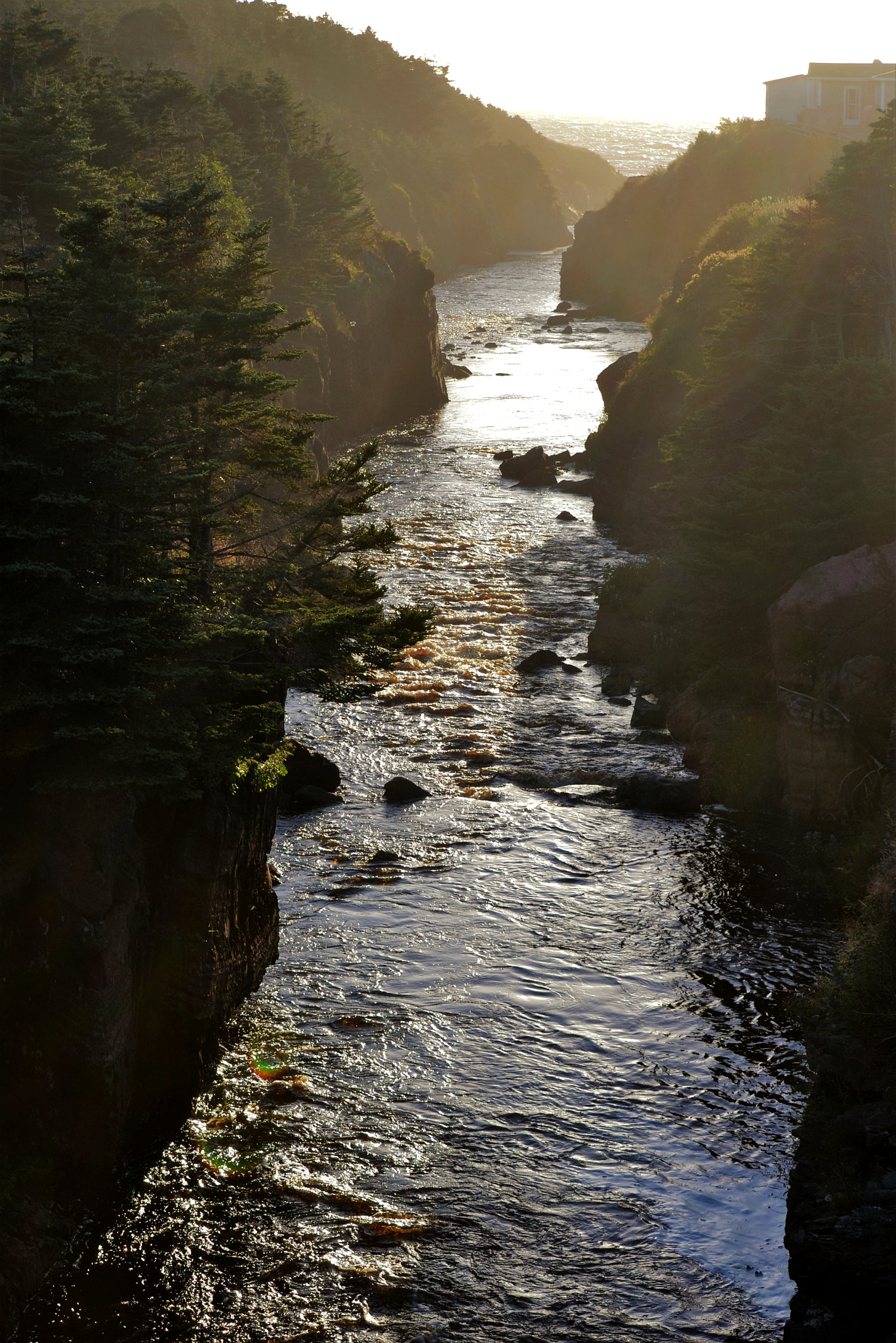 Nikon D3100 sample photo. Winding stream photography