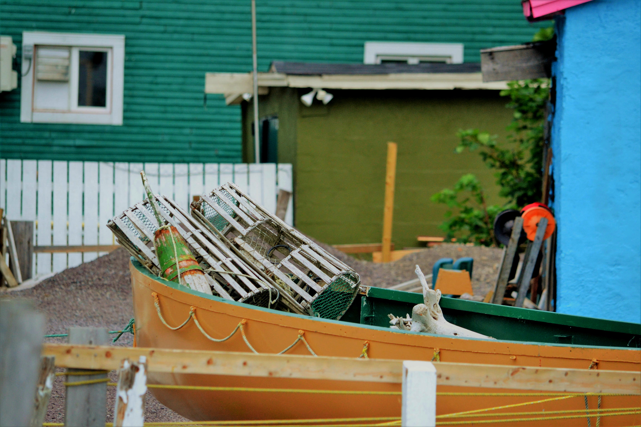 Nikon D3100 sample photo. Fishermans treasure photography