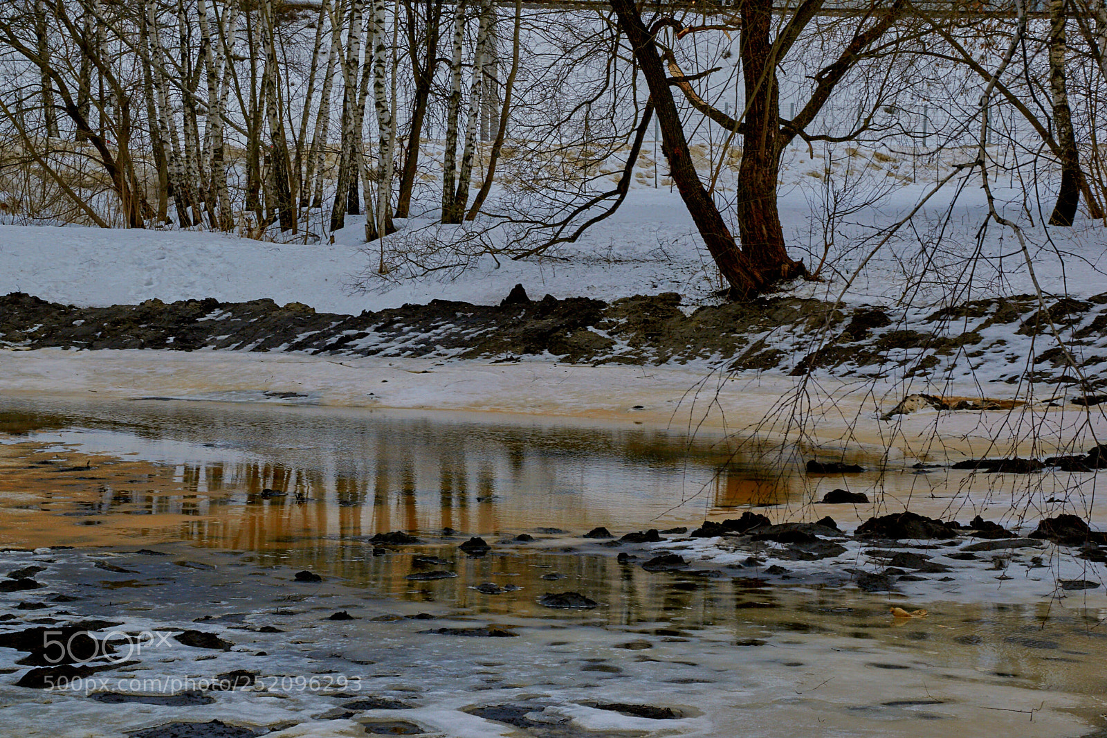 Nikon D5300 sample photo. Untitled photography