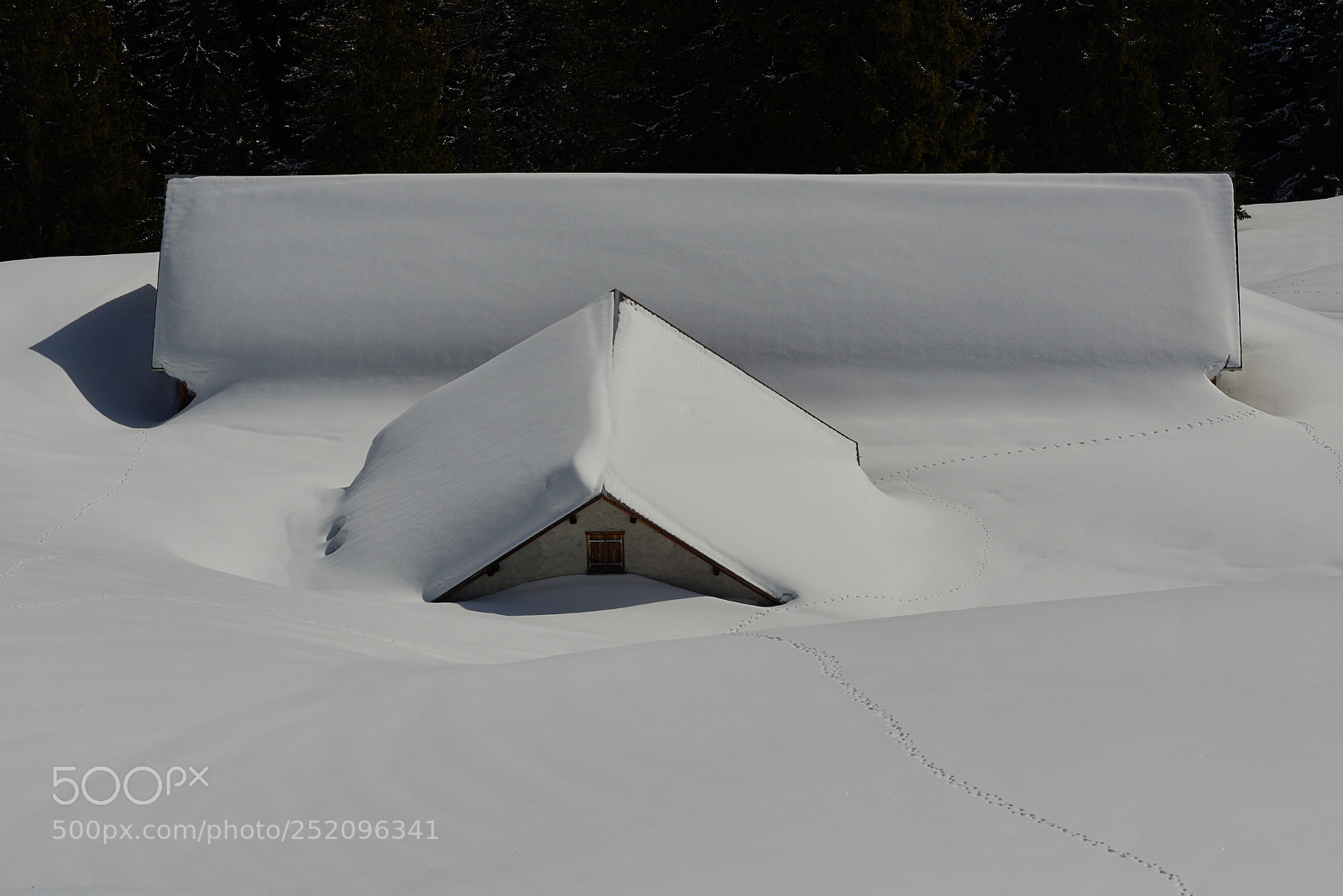 Nikon D800 sample photo. First tracks .... photography