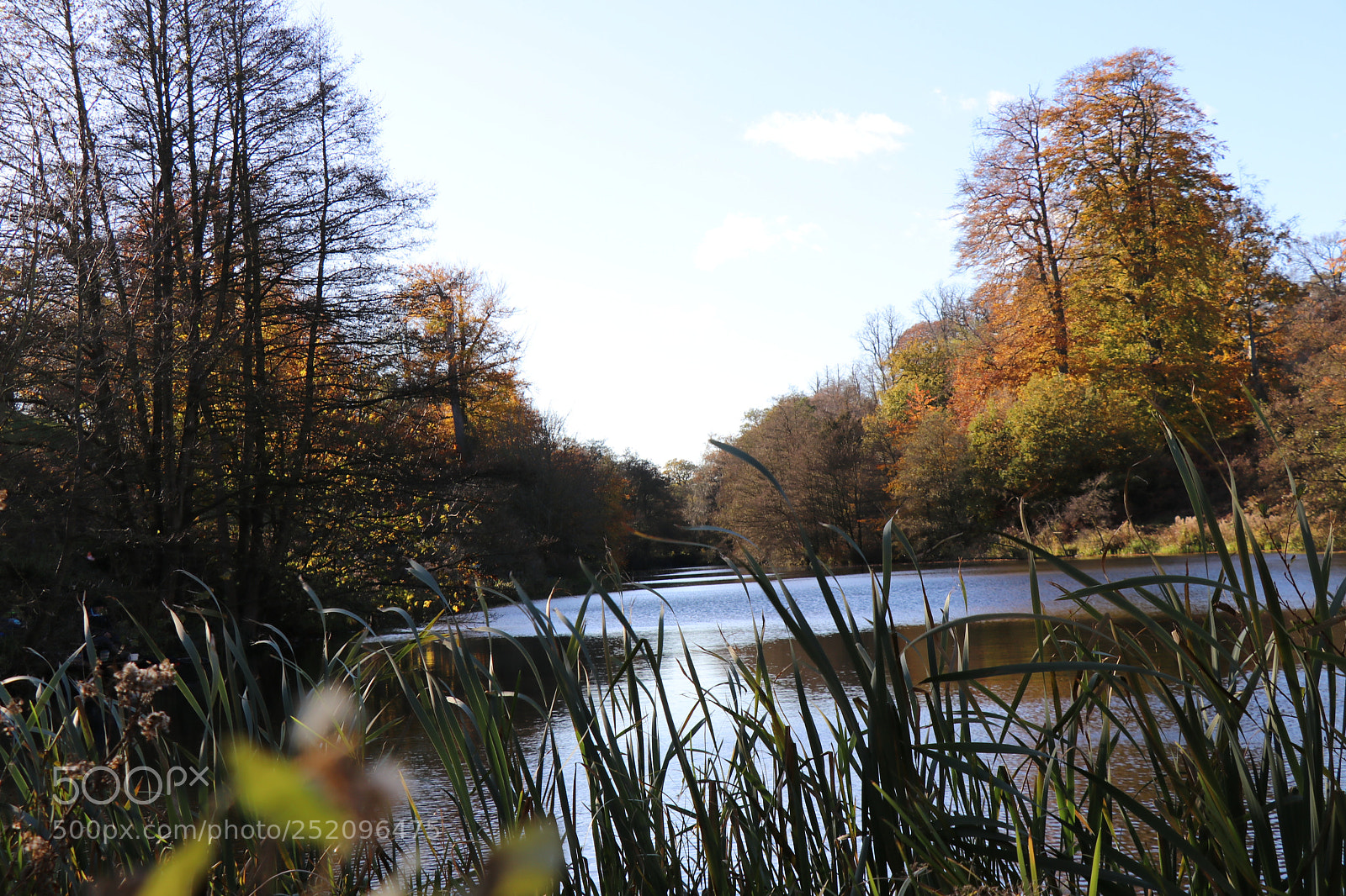 Canon EOS 80D sample photo. Untitled photography