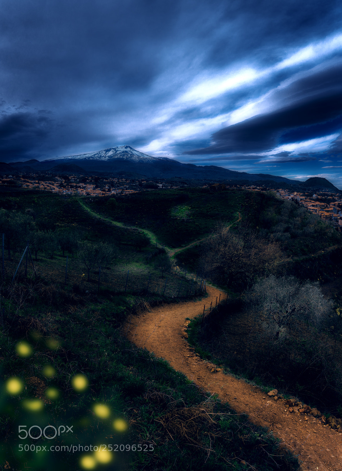 Nikon D7100 sample photo. Road to home photography
