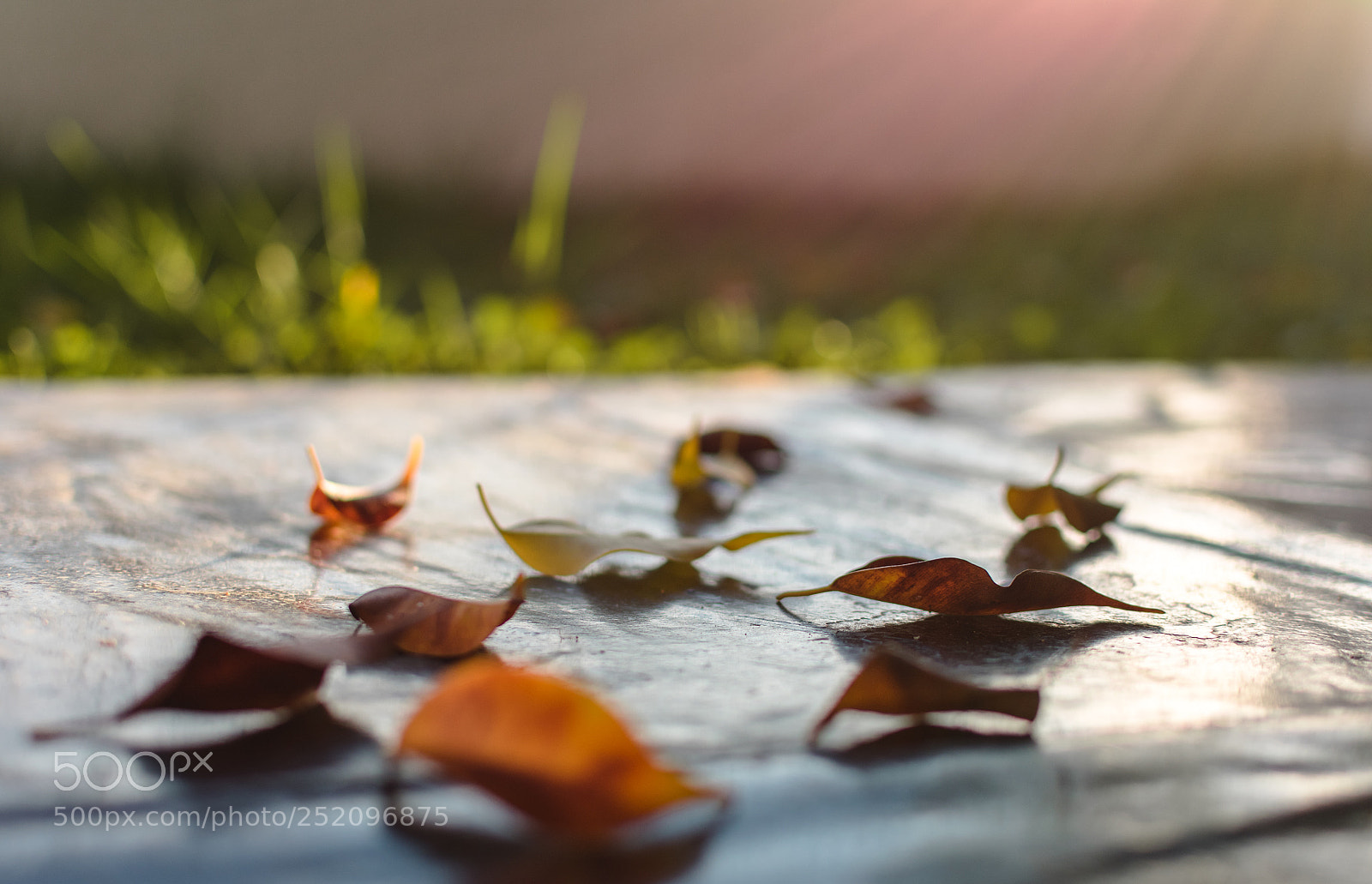 Nikon D3400 sample photo. Autumn ! photography