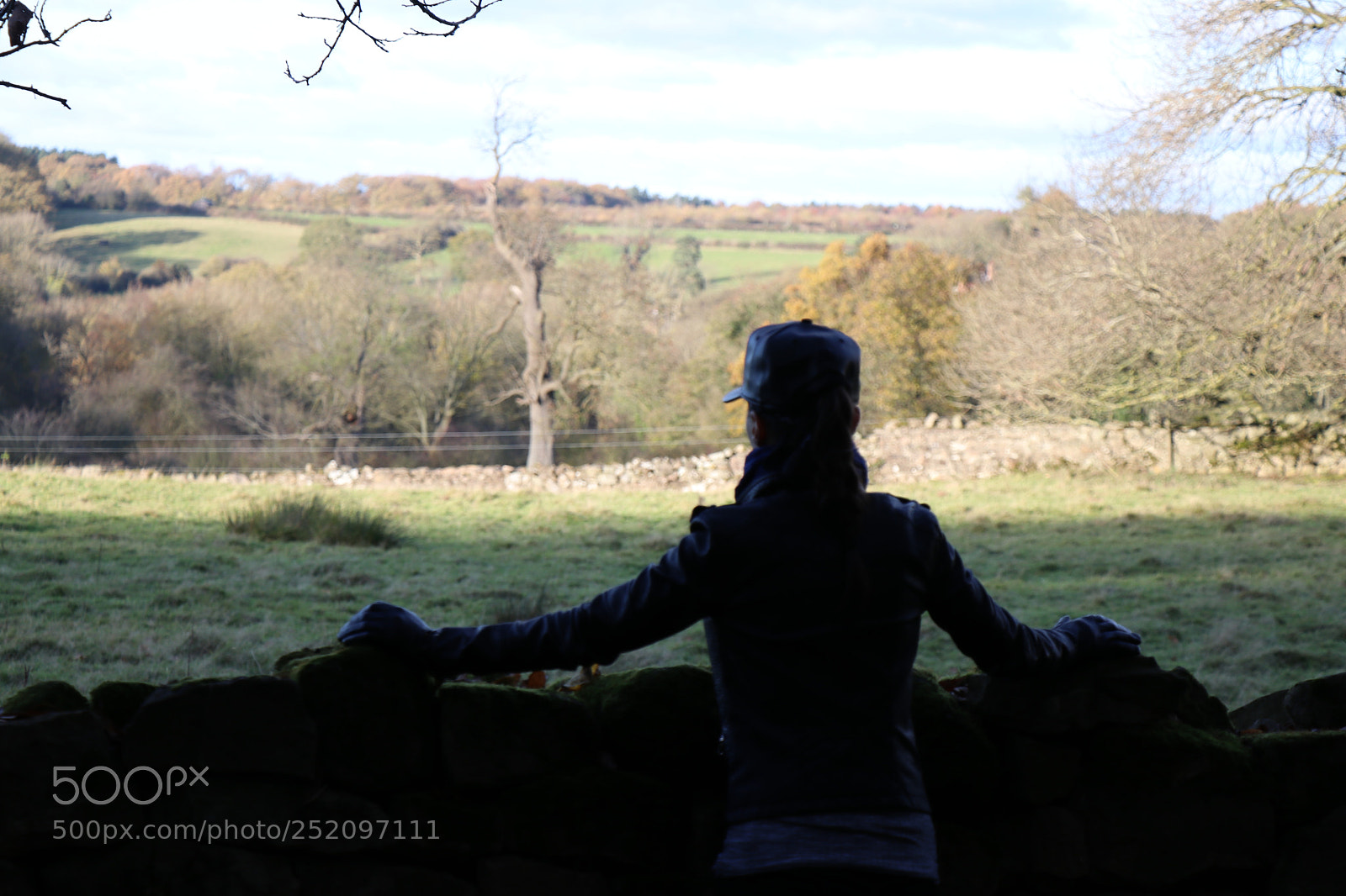 Canon EOS 80D sample photo. Untitled photography