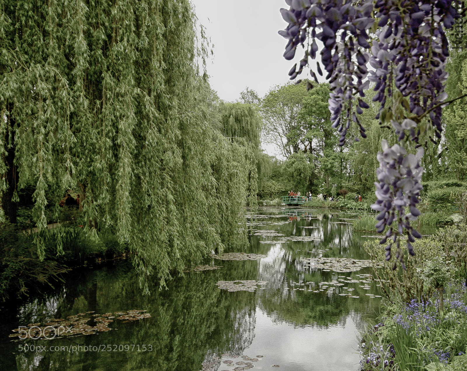 Canon EOS 350D (EOS Digital Rebel XT / EOS Kiss Digital N) sample photo. Giverny - claude monet photography
