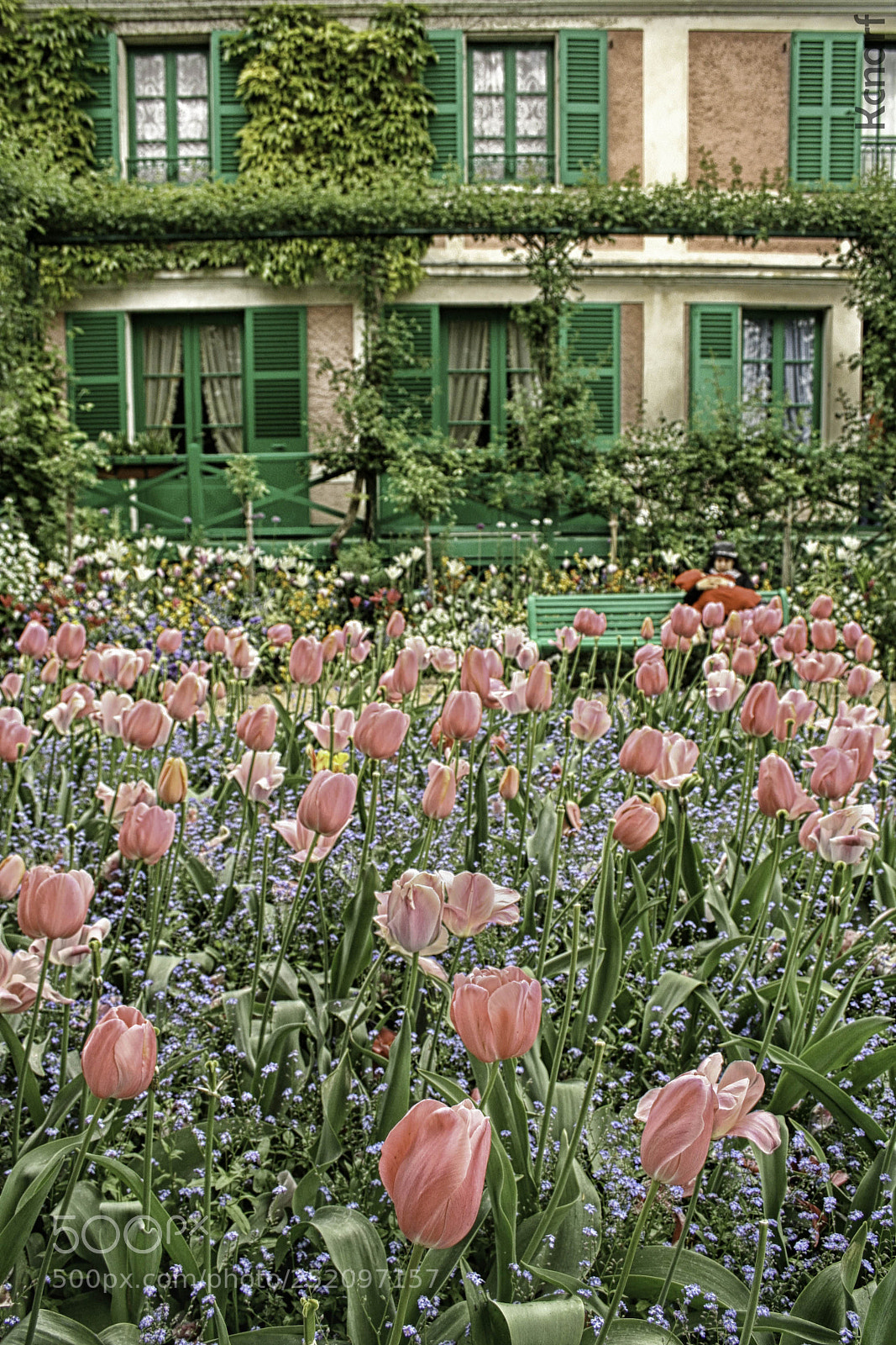 Canon EOS 350D (EOS Digital Rebel XT / EOS Kiss Digital N) sample photo. Giverny - claude monet photography