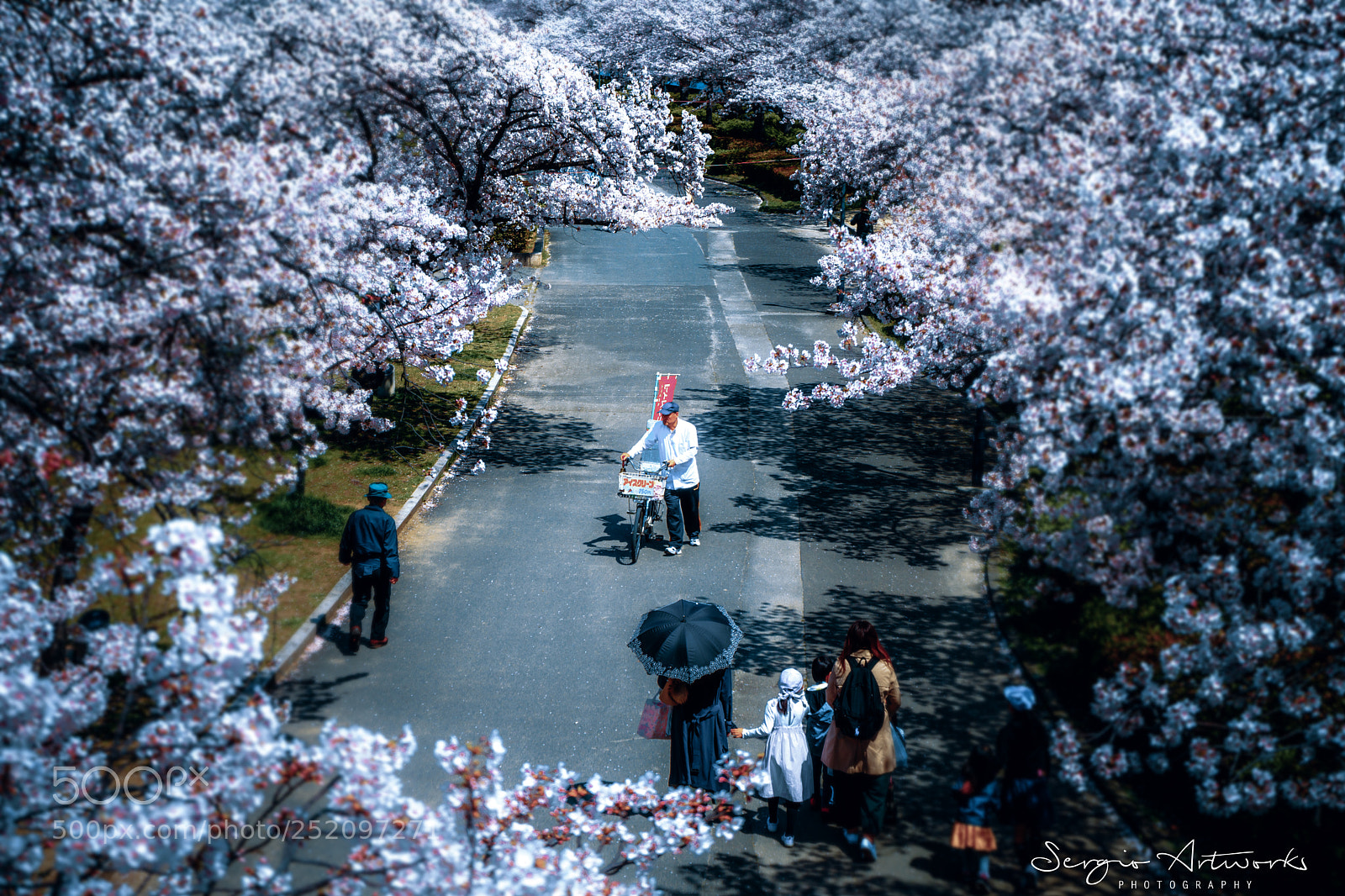 Sony a7 II sample photo. Tenmabashi, osaka photography