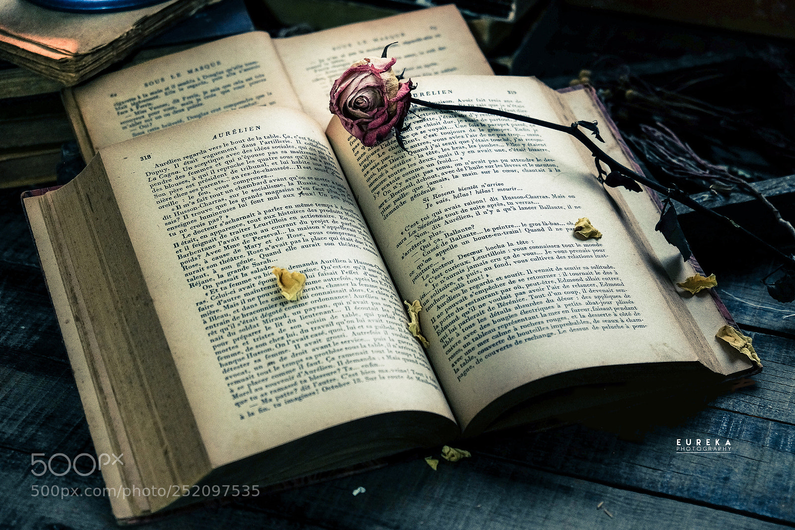 Fujifilm X-T1 sample photo. Book photography