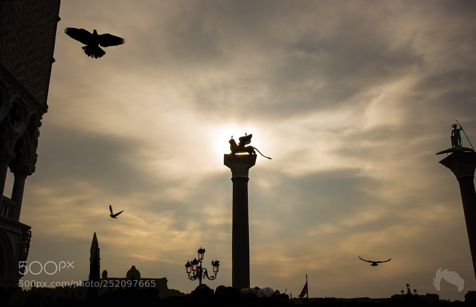 Canon EOS 600D (Rebel EOS T3i / EOS Kiss X5) sample photo. Lionsilhouette photography