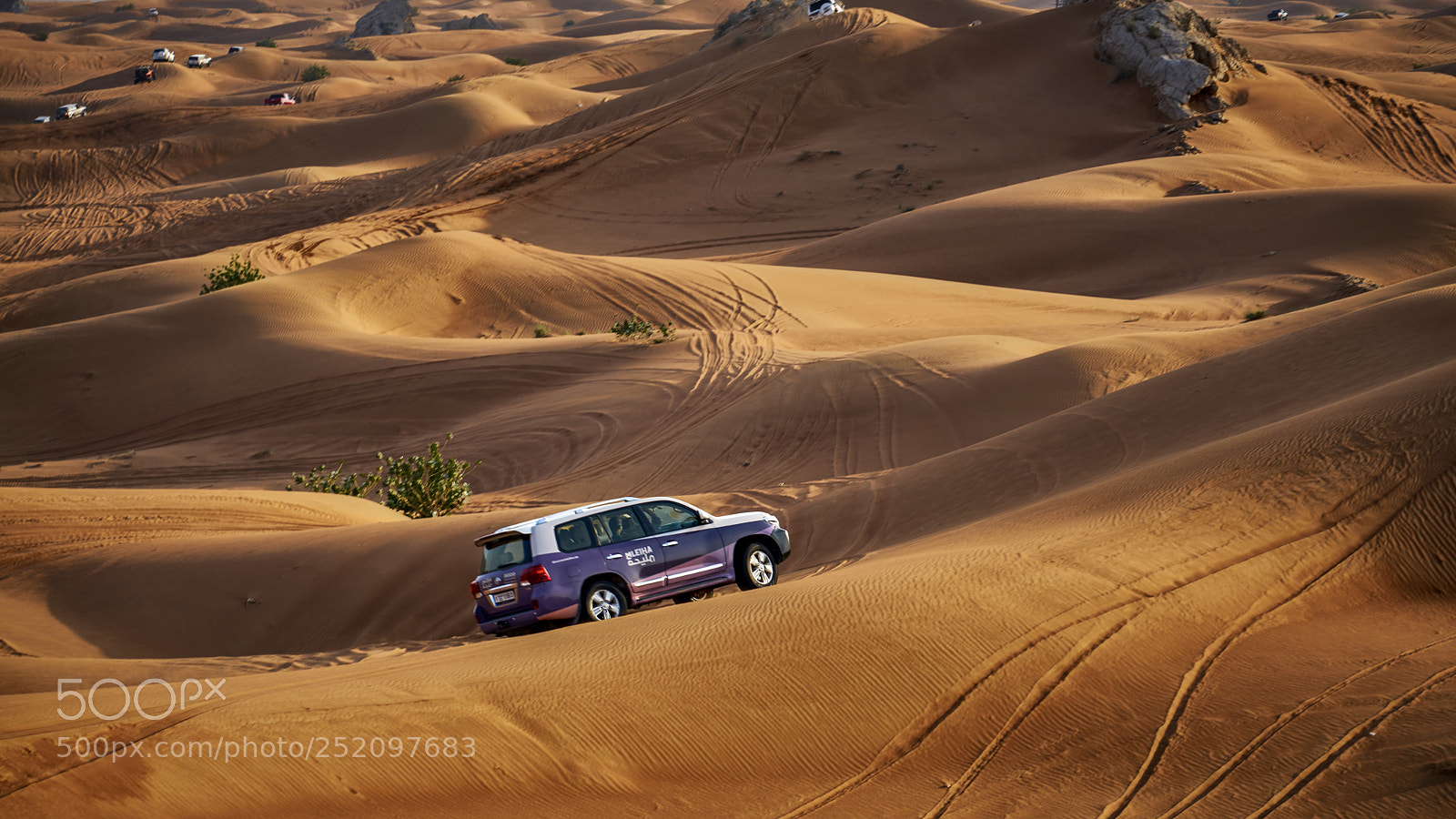 Sony a7R II sample photo. Dune bashing photography