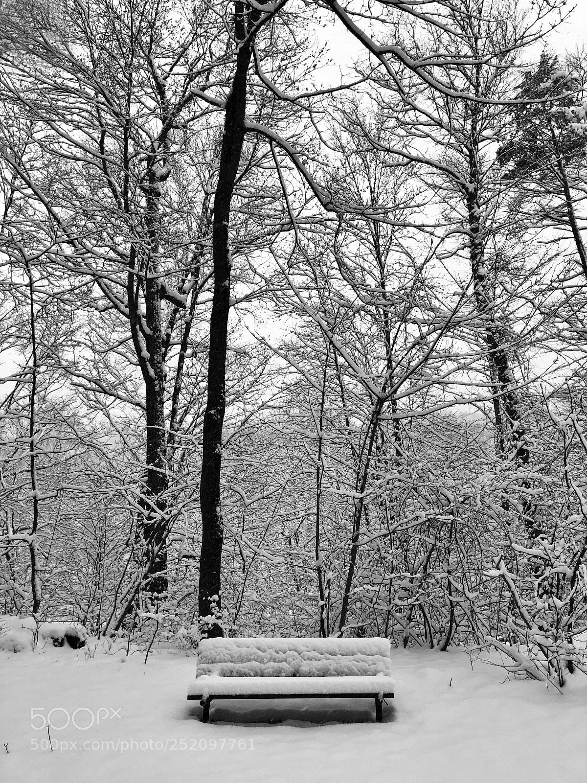 Apple iPhone 8 sample photo. Early april snow photography