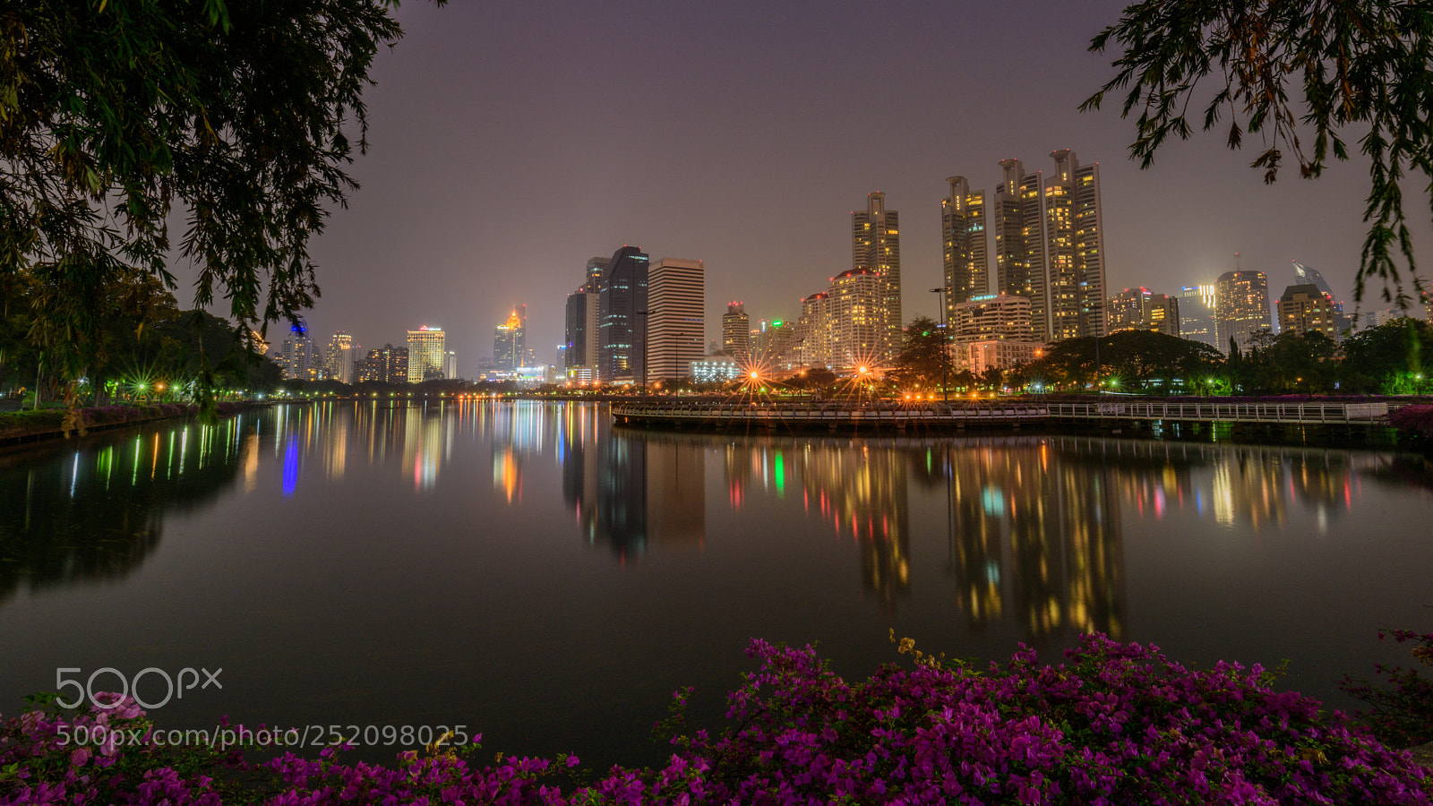 Nikon D810 sample photo. Benchakiti park photography