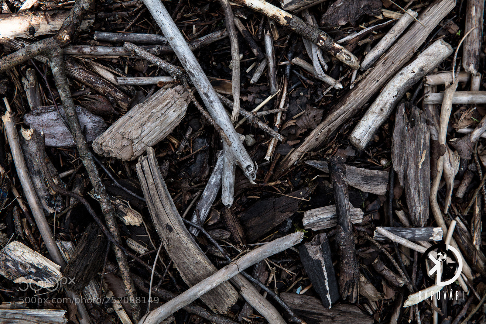 Canon EOS 5DS sample photo. Wood pieces photography
