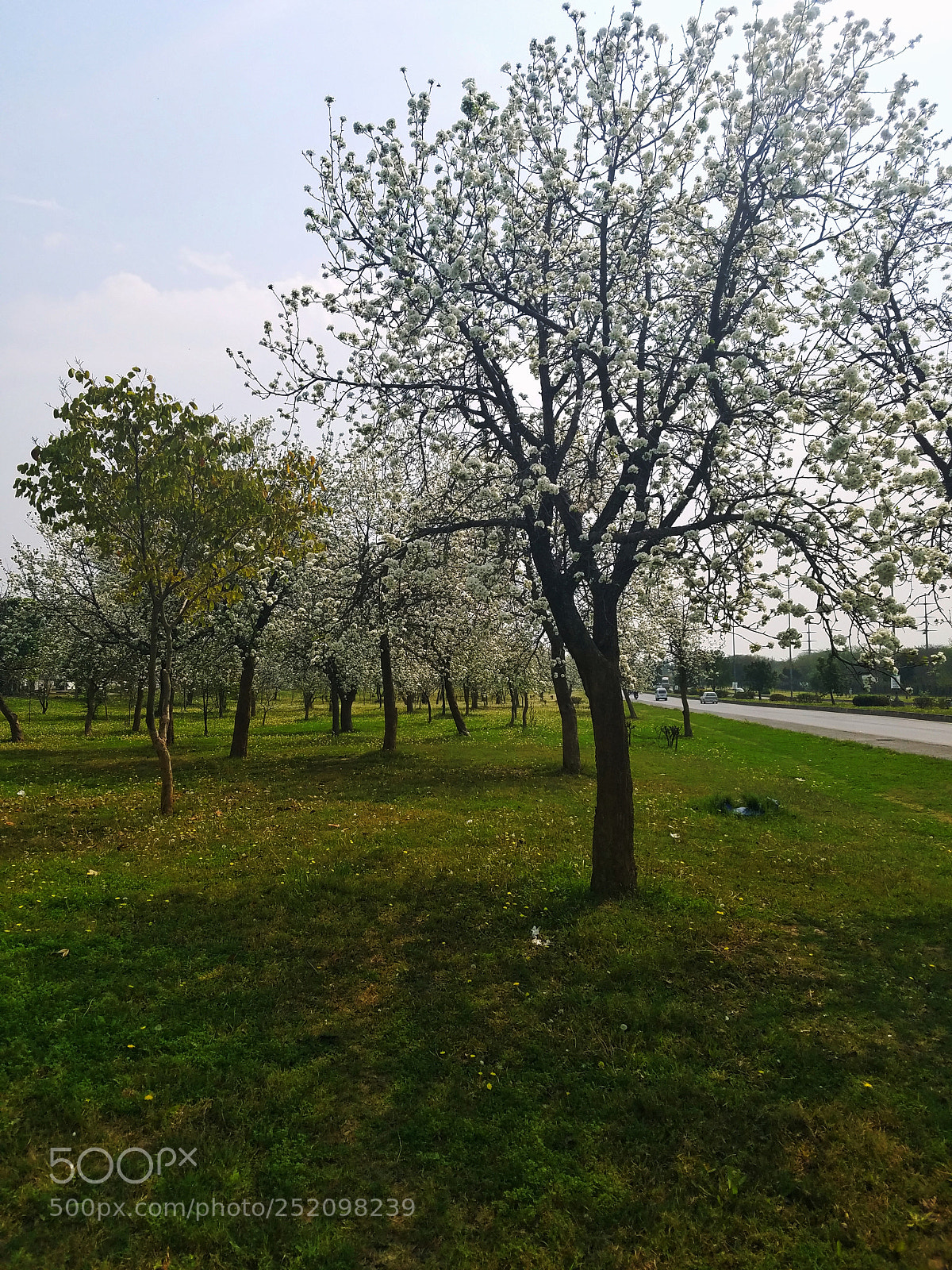 Samsung Galaxy S7 Edge sample photo. Untitled photography