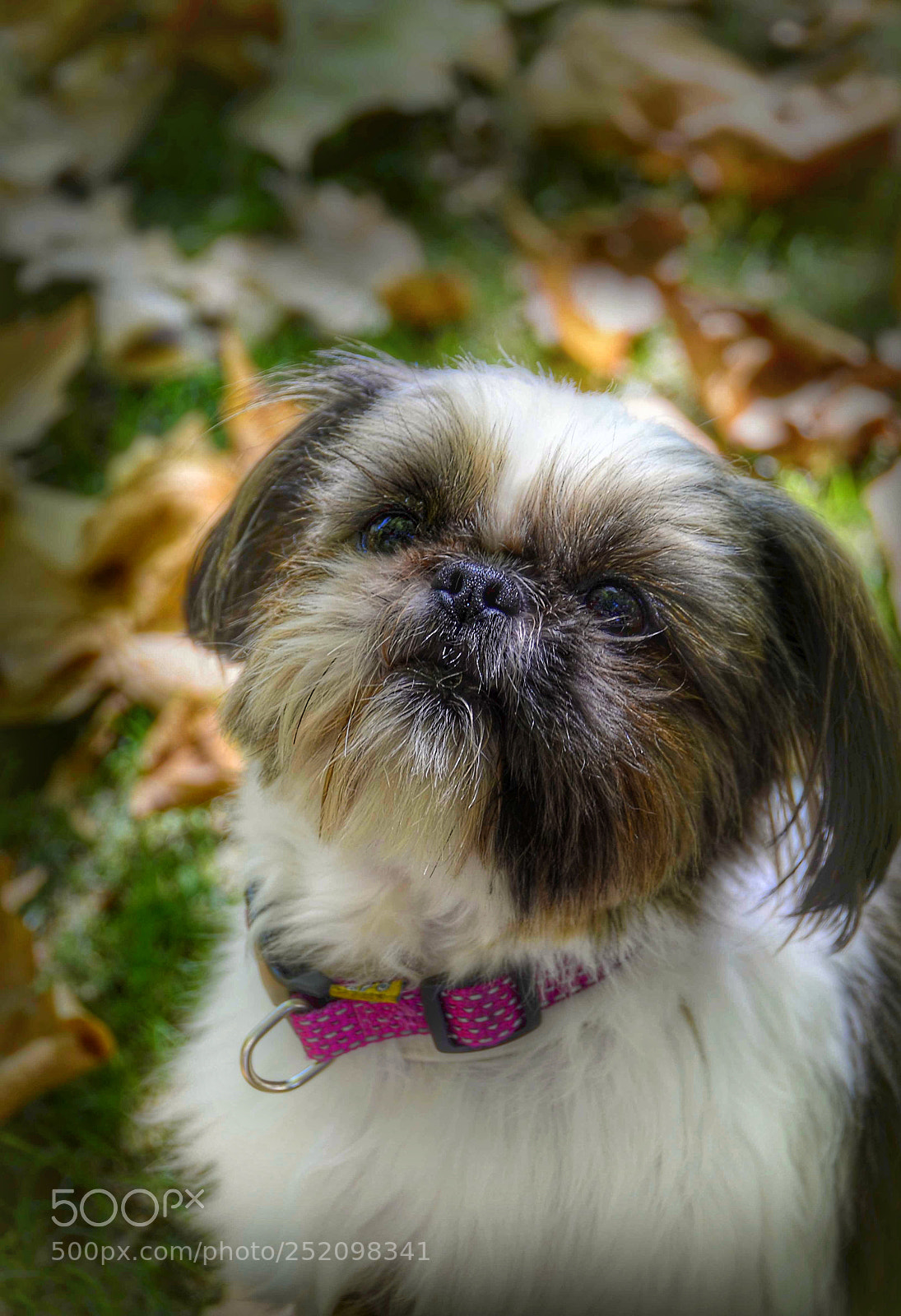 Nikon D5100 sample photo. Untitled photography