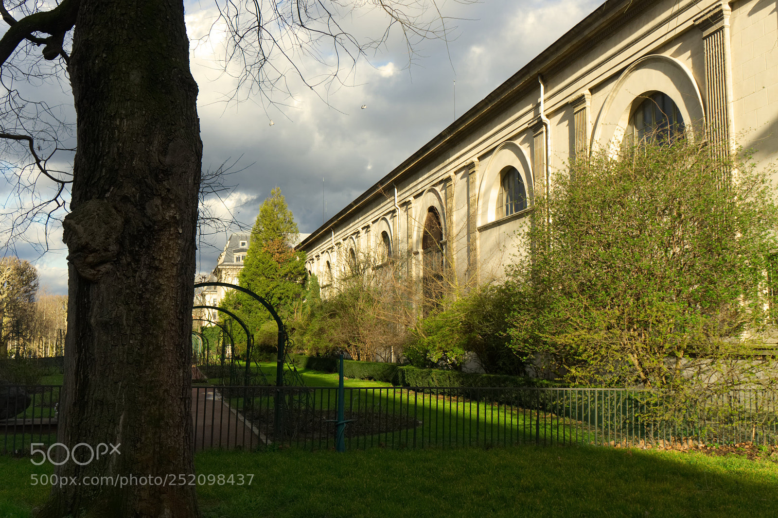 Sony Alpha NEX-5 sample photo. Jardin des plantes photography