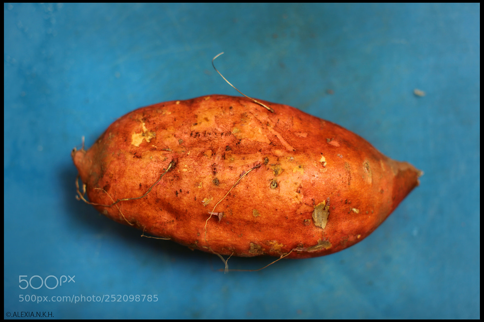 Canon EOS 5D Mark II sample photo. Portrait of a sweet photography