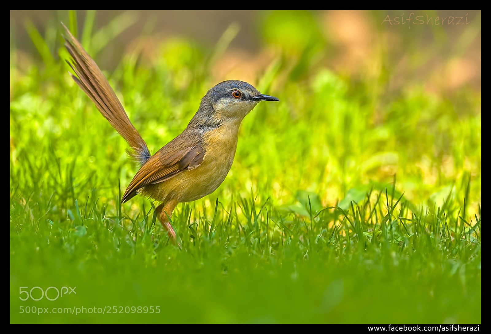 Nikon D5 sample photo. Beauty of the nature photography