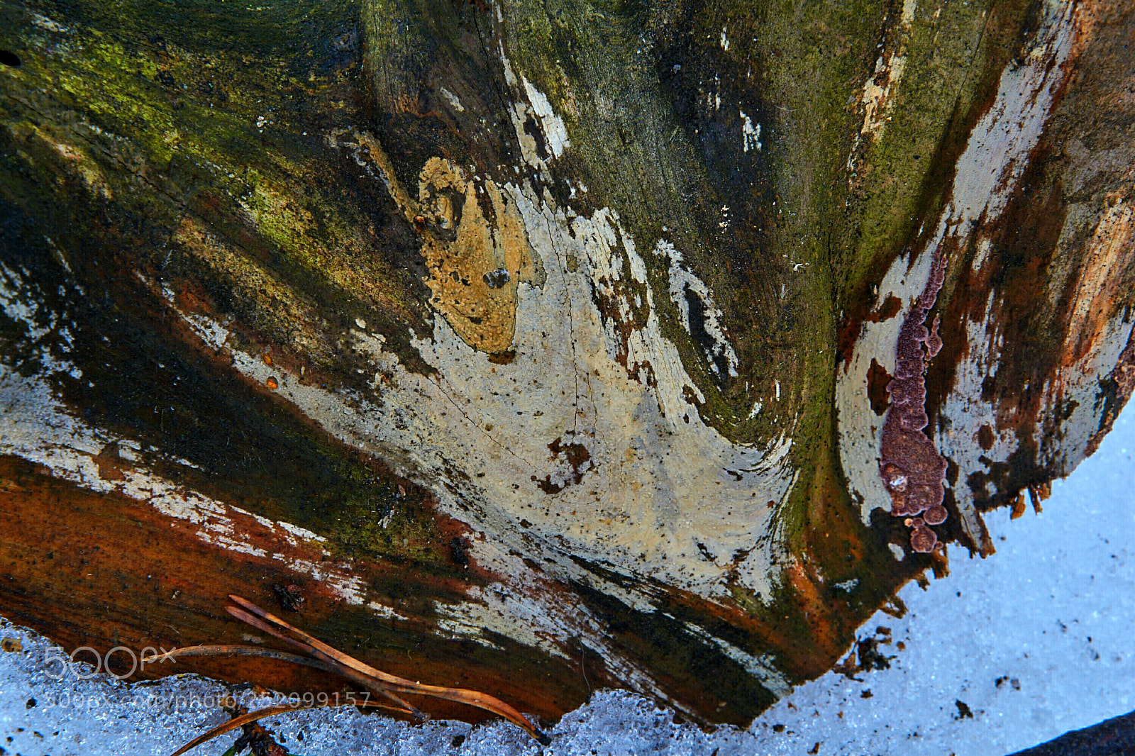 Nikon D5300 sample photo. Untitled photography