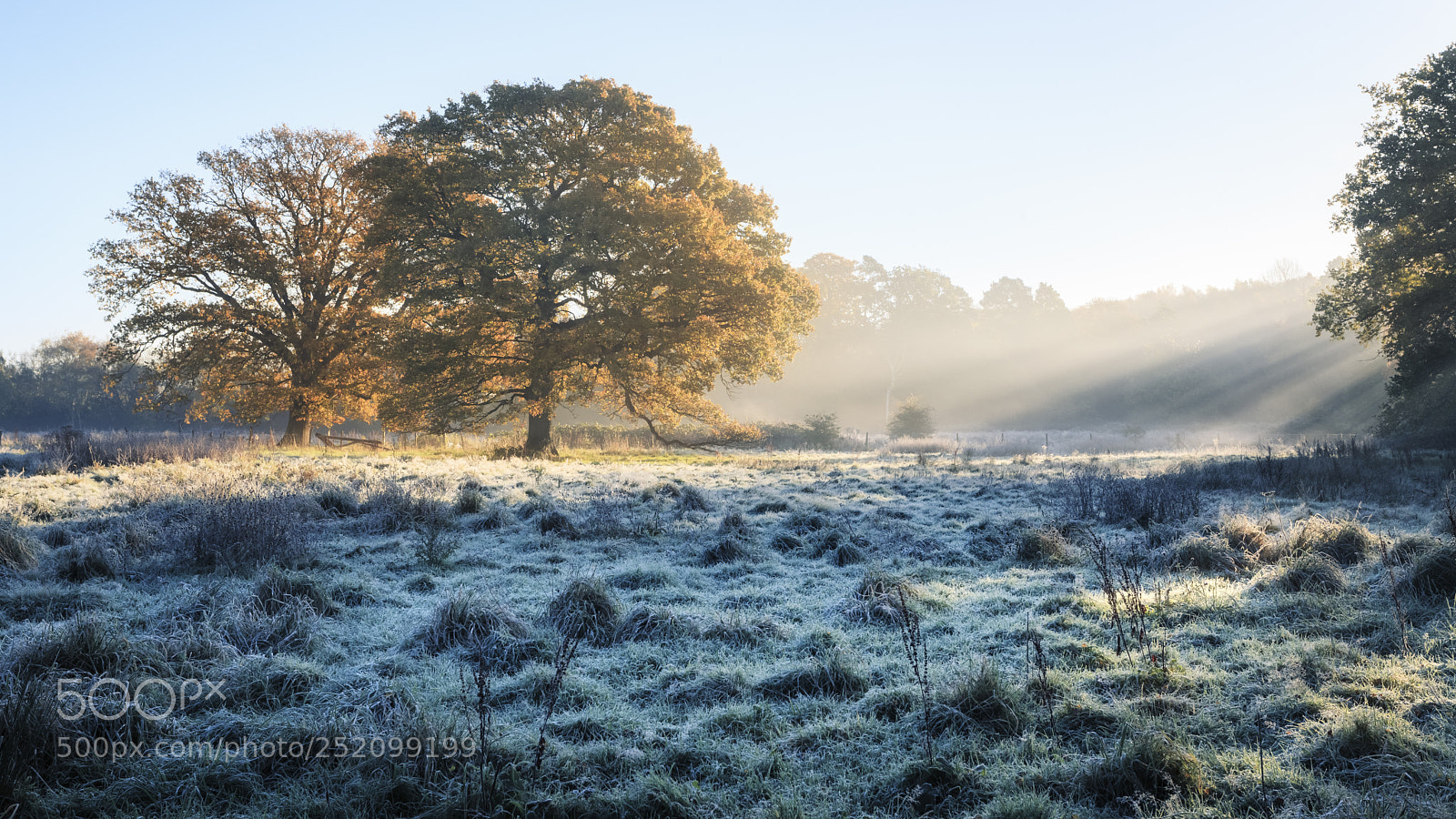 Canon EOS 5D Mark II sample photo. Winter field photography