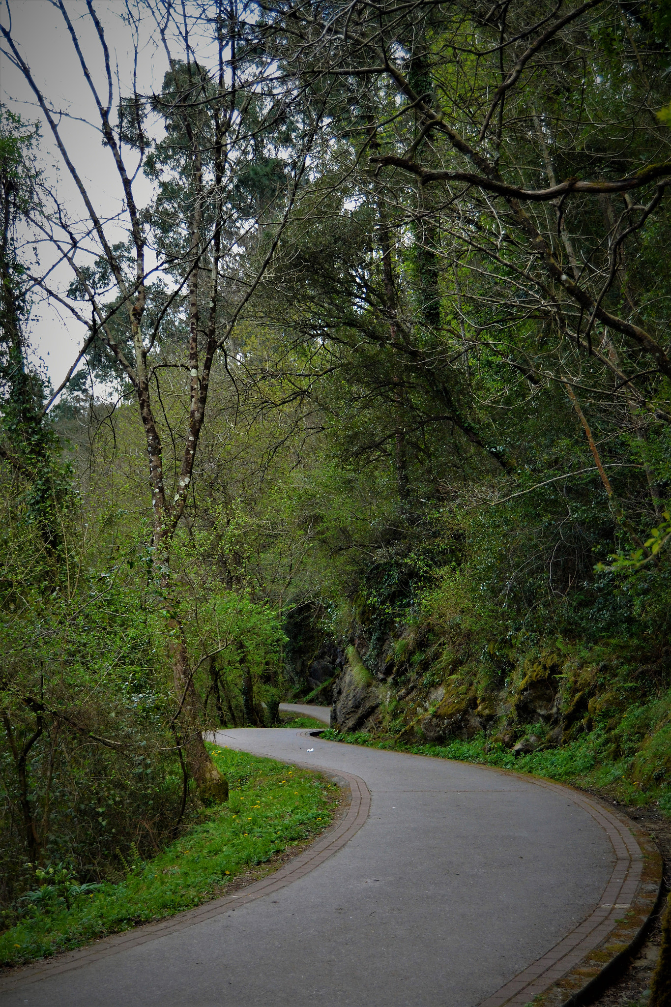 Nikon D3100 sample photo. Siseante photography