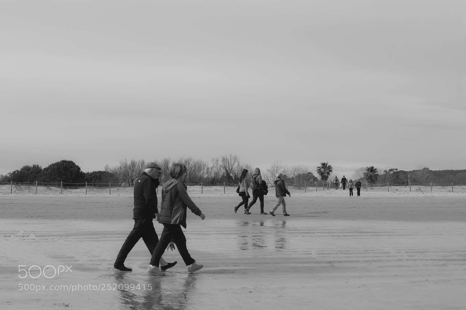 Fujifilm X-Pro2 sample photo. Untitled photography