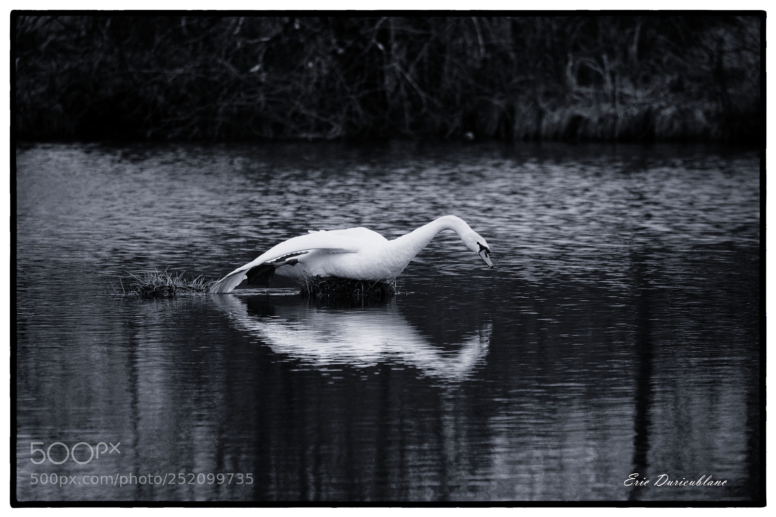 Canon EOS-1D Mark II sample photo. Untitled photography